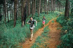 BIB: 
                            <button type="button" onclick="openModal(25701675)" class="btn btn-primary btn-sm float-right btn-popup" data-toggle="modal" data-target=".modal-high-quality">
                        <i class="fas fa-shopping-cart"></i> Add to Cart
                    </button>
                                            <button type="button" onclick="isThisMe(25701675, true)" class="btn btn-success btn-sm float-right btn-popup btn-isme hidden" data-toggle="tooltip" data-placement="bottom" title="นี่คือรูปของคุณใช่ไหม คลิกที่นี่เพื่อเอาเข้าอัลบั้ม">
                        <i class="fas fa-plus"></i> Add to album
                    </button>
                    <button type="button" onclick="isThisMe(25701675, false)" class="btn btn-warning btn-sm float-right btn-popup btn-isnotme hidden">
                        <i class="fas fa-ban"></i> Remove from album
                    </button>